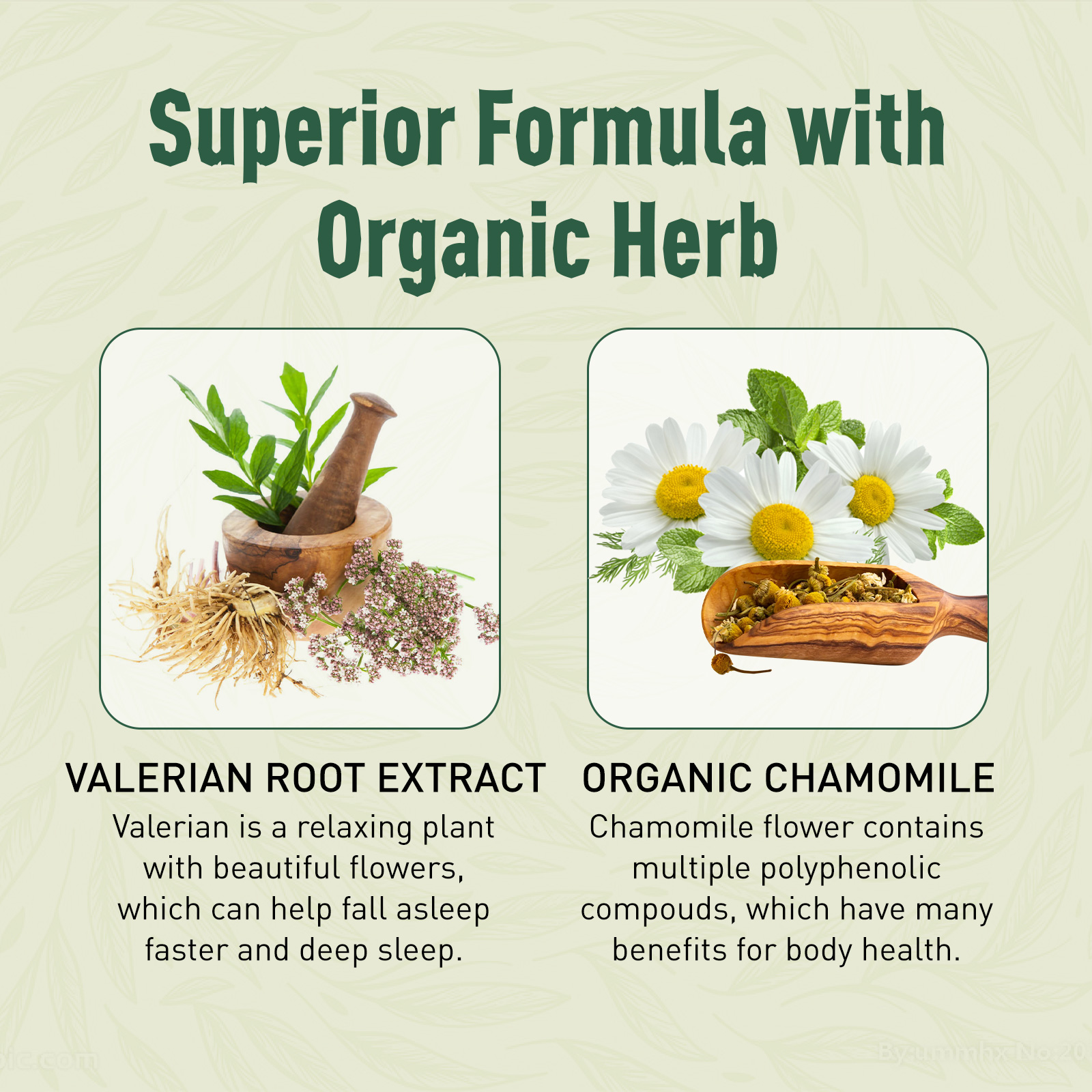 Valerian Root Gummies - Image 2