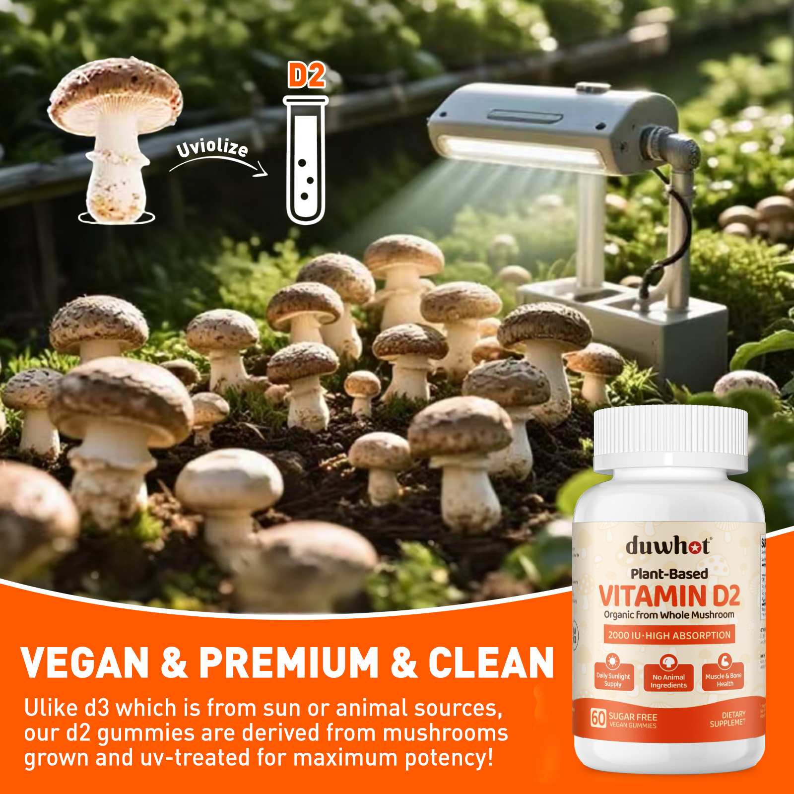 Vitamin D2 Gummies - Image 4